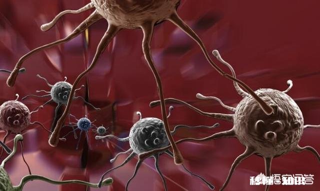 植物人会患癌症吗如果一个癌症患者变成植物人后,他身上的癌细胞会有哪些变化