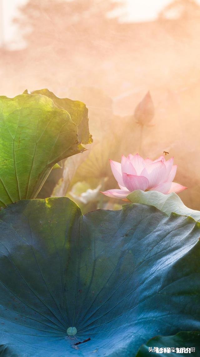 减肥减了两周体重不变了怎么办