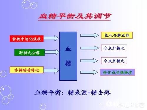 体内的血糖含量很高,是什么原因