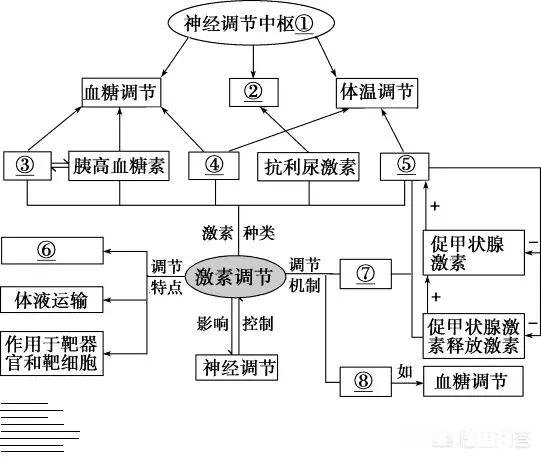 体内的血糖含量很高,是什么原因