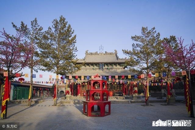 榆林的“市树”“市花”为什么是榆树和桃花