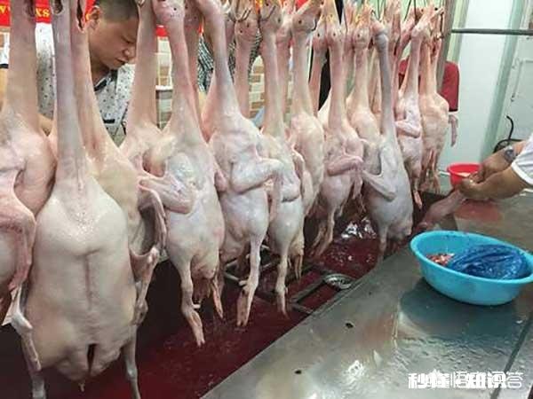 如何做出色美干香的脆皮烧鸭