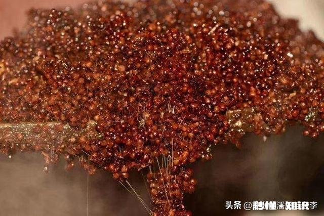 好一些的粮食酒，大家有什么推荐呢为什么