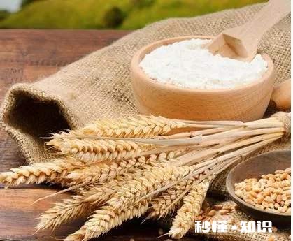 中国吃馒头的人多还是吃米饭的人多吃馒头和吃米饭有什么区别，你更中意哪个