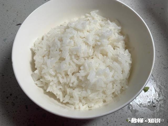 中国吃馒头的人多还是吃米饭的人多吃馒头和吃米饭有什么区别，你更中意哪个