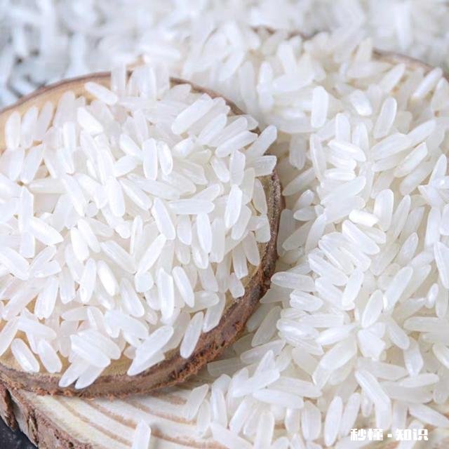 中国吃馒头的人多还是吃米饭的人多吃馒头和吃米饭有什么区别，你更中意哪个