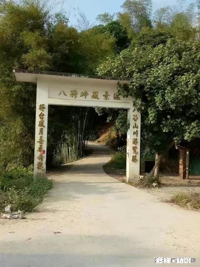 乡下的田土适合种植花卉吗