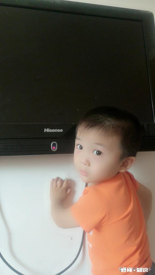 乡下的田土适合种植花卉吗