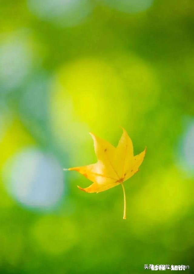 受疫情影响，最近大家是不是都很穷