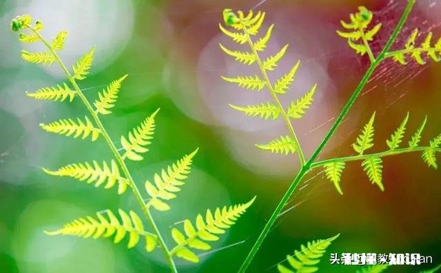 受疫情影响，最近大家是不是都很穷