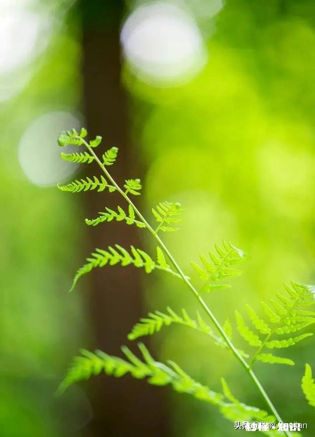 受疫情影响，最近大家是不是都很穷