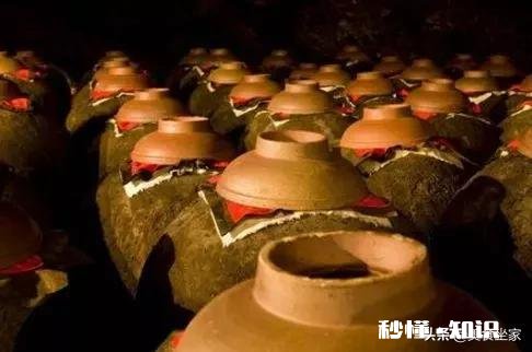 什么酒可以长时间保存