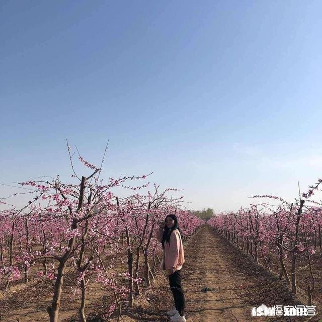 越长大越孤单，说说你孤单的故事吧