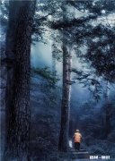 可以发一张你手机里最感人的照片吗