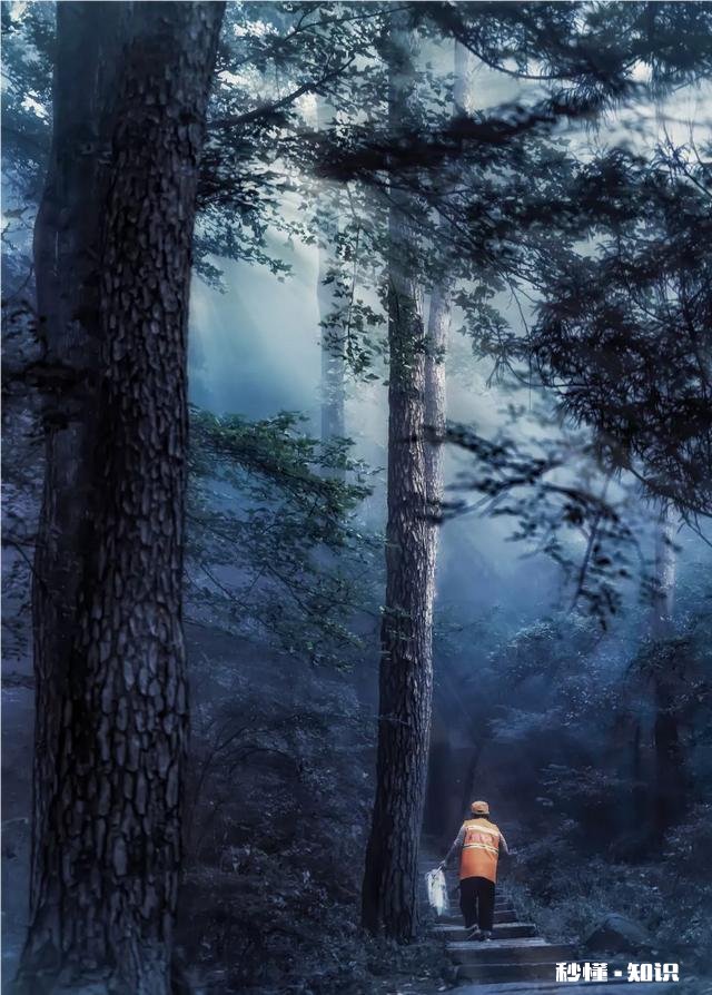 可以发一张你手机里最感人的照片吗