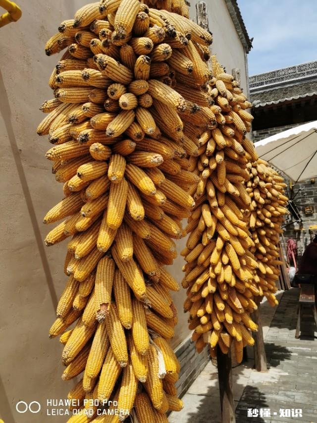 你好，请问已经跨进三十岁门槛的你，会因为家人的催婚而结婚吗