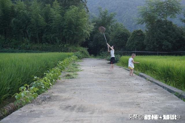 手机摄影修图怎么修风景