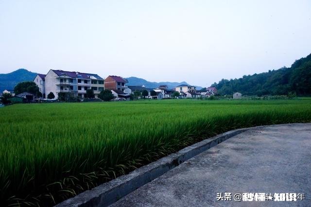 手机摄影修图怎么修风景