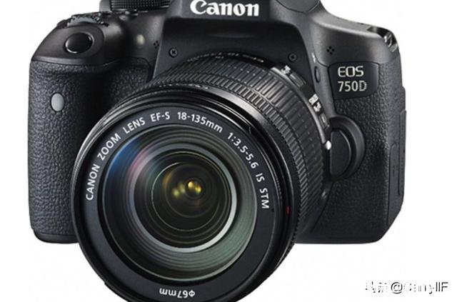 初学者只能用入门级单反吗那么哪款入门级单反用来拍风景最好