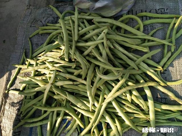 南北方人对青菜是如何理解的