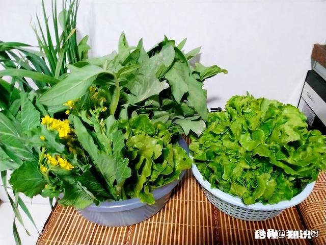 南北方人对青菜是如何理解的