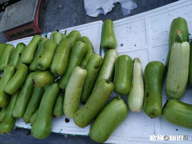 南北方人对青菜是如何理解的