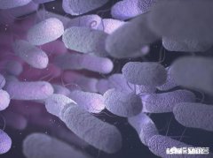 我吃了幽门螺杆菌的药后为什么胃还疼得厉害