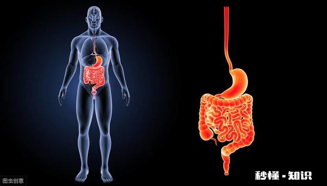 晨起哪种大便预示癌