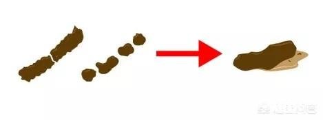 晨起哪种大便预示癌