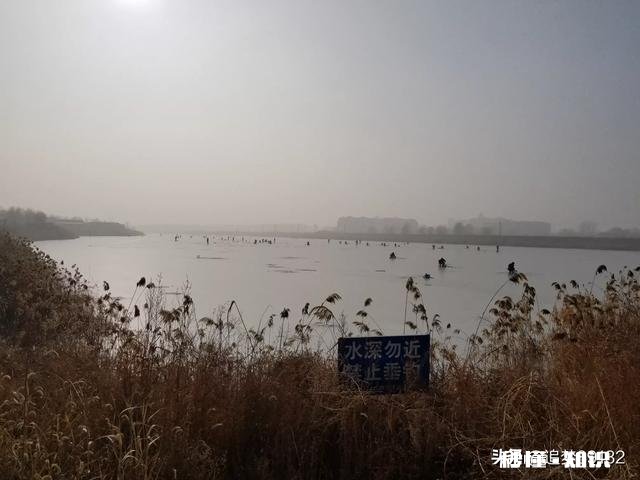 过年你们那里吃什么主食饺子米饭汤圆面条还是别的食物