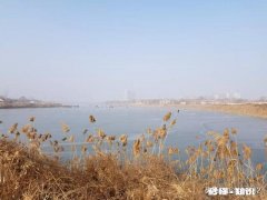 过年你们那里吃什么主食饺子米饭汤圆面条还是别的食物