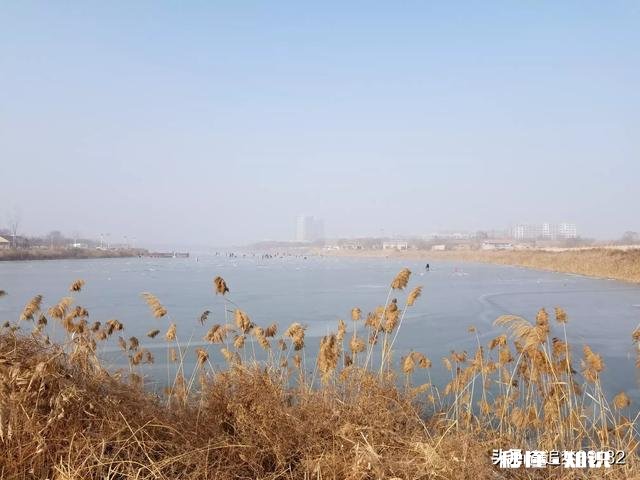 过年你们那里吃什么主食饺子米饭汤圆面条还是别的食物