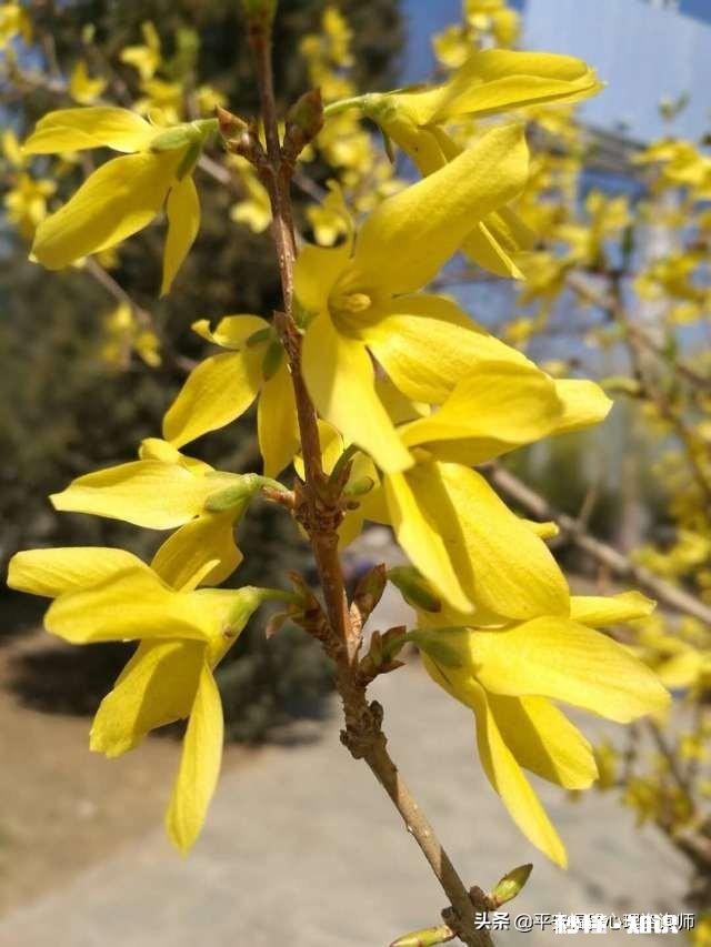 通往美好生活的“密码”是什么