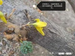 通往美好生活的“密码”是什么