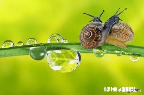 人到中年普遍缼钙，多喝酸牛奶可以补钙吗