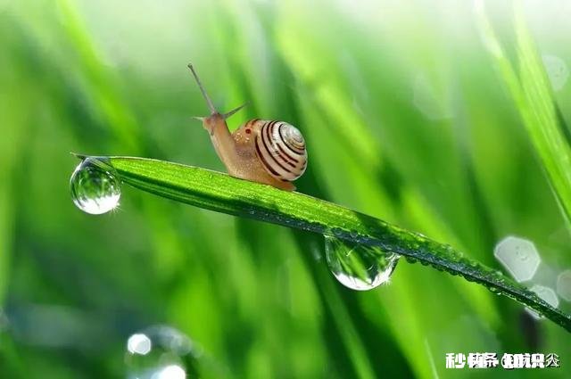 人到中年普遍缼钙，多喝酸牛奶可以补钙吗