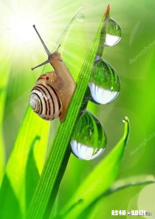 人到中年普遍缼钙，多喝酸牛奶可以补钙吗