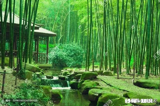 人到中年普遍缼钙，多喝酸牛奶可以补钙吗