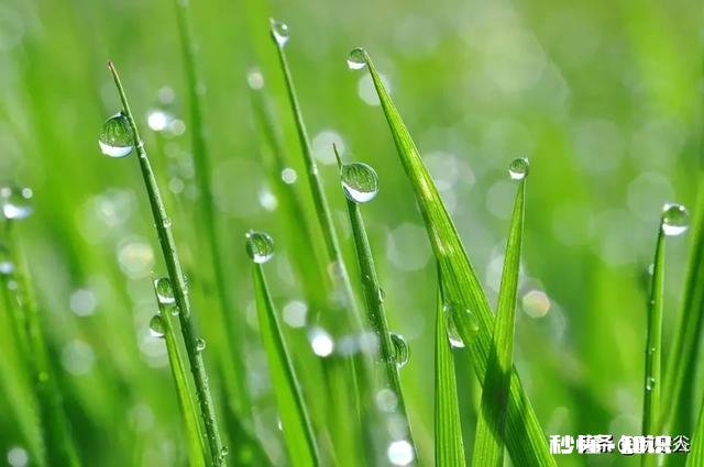 人到中年普遍缼钙，多喝酸牛奶可以补钙吗