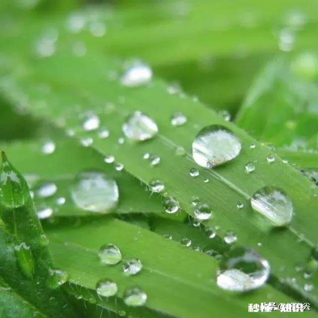 人到中年普遍缼钙，多喝酸牛奶可以补钙吗