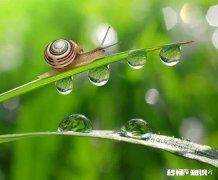 人到中年普遍缼钙，多喝酸牛奶可以补钙吗