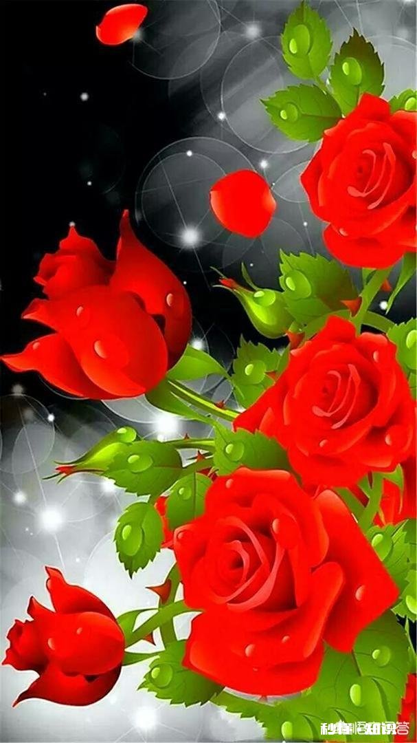 你现在是否还爱着曾经深爱过的人