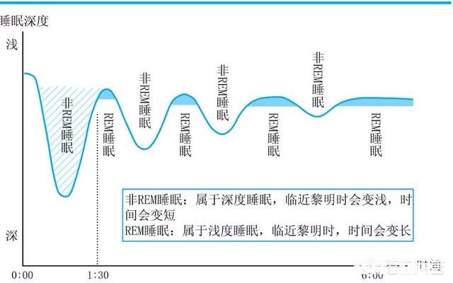 最佳睡觉时长是6小时还是8小时