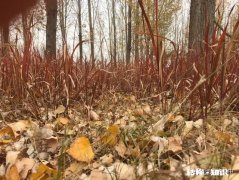 你从什么时候开始觉得时间过得特别快