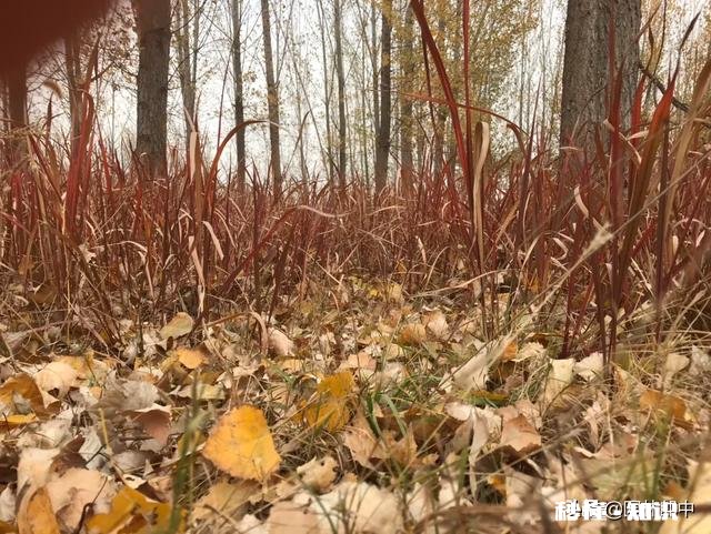 你从什么时候开始觉得时间过得特别快