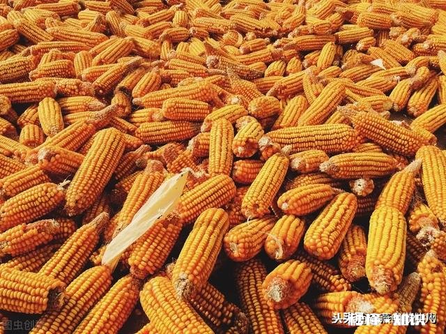 出门在外，你会想家么