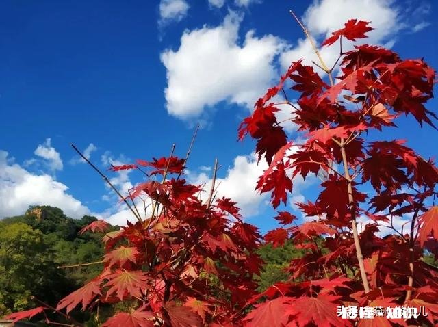 出门在外，你会想家么