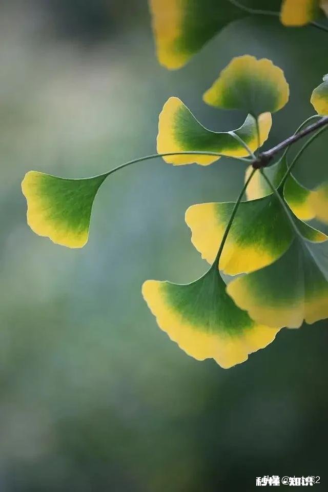 出门在外，你会想家么