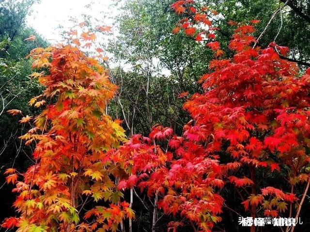 出门在外，你会想家么