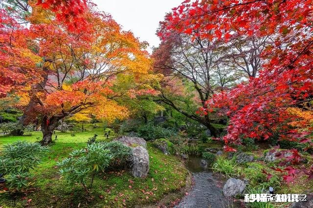 出门在外，你会想家么